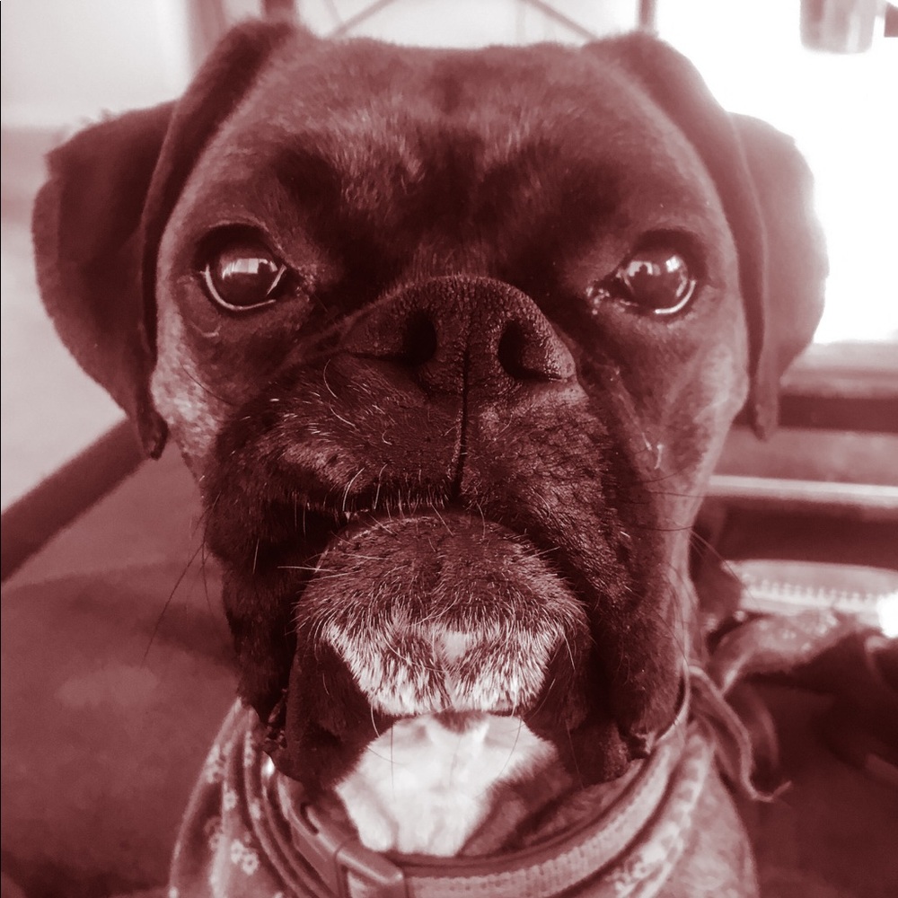 Meet your Posher, Morgan